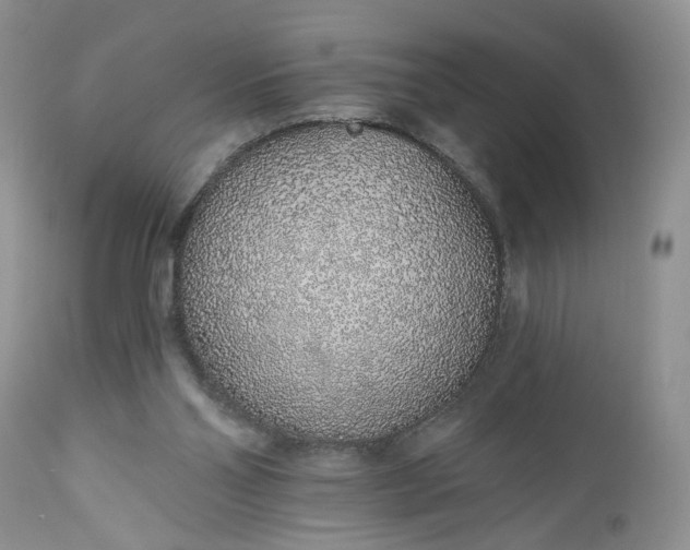 X0000112520110200908311407