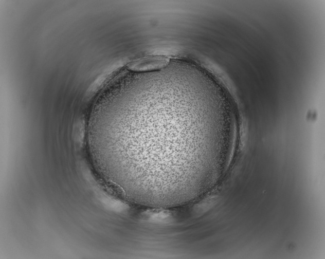 X0000112520113200908311407