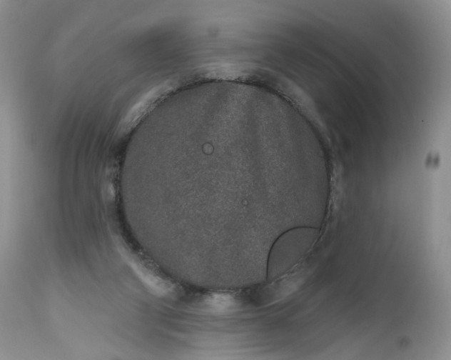 X0000112520114200908311407