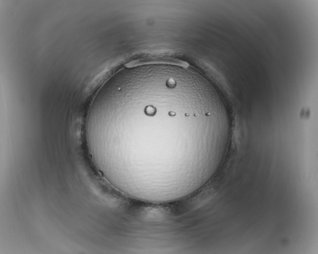X0000112520115200908311407