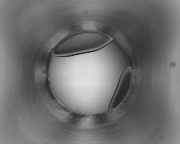 X0000112520116200908311407
