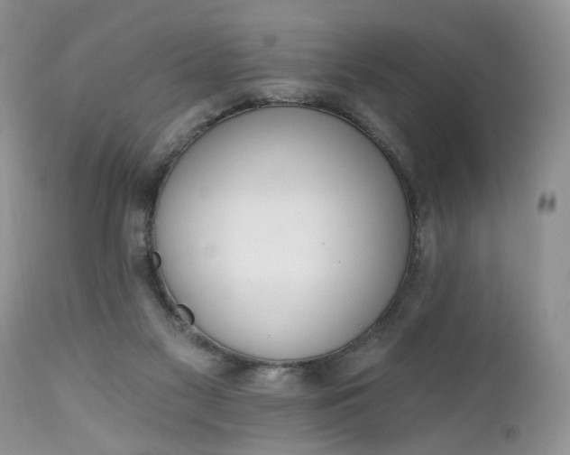 X0000112520117200908311407