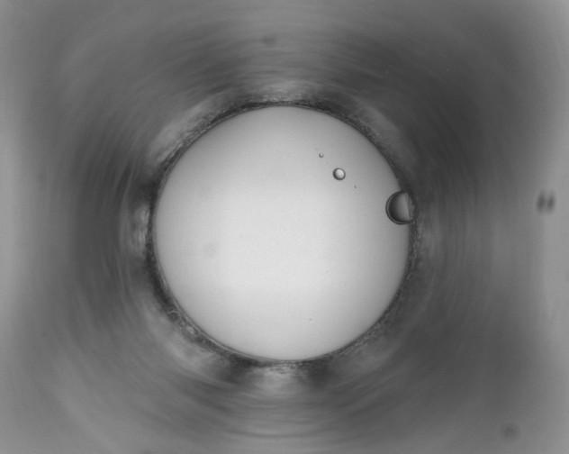 X0000112520118200908311407