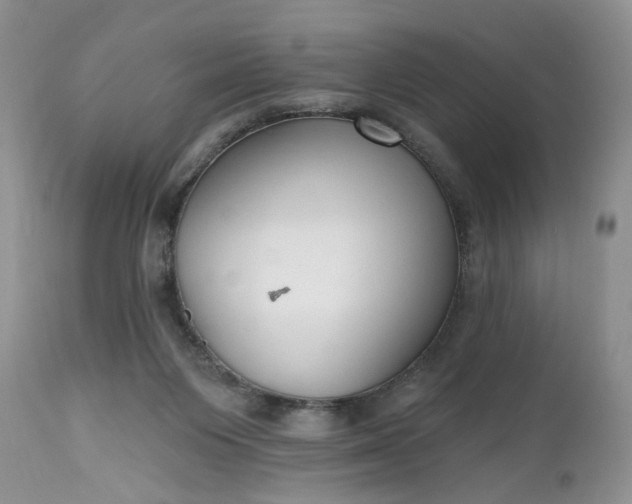X0000112520119200908311407