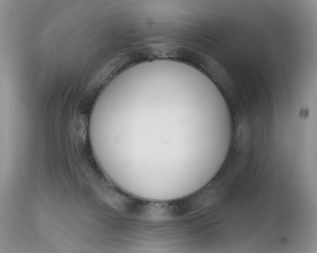 X0000112520121200908311407