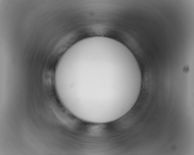 X0000112520122200908311407