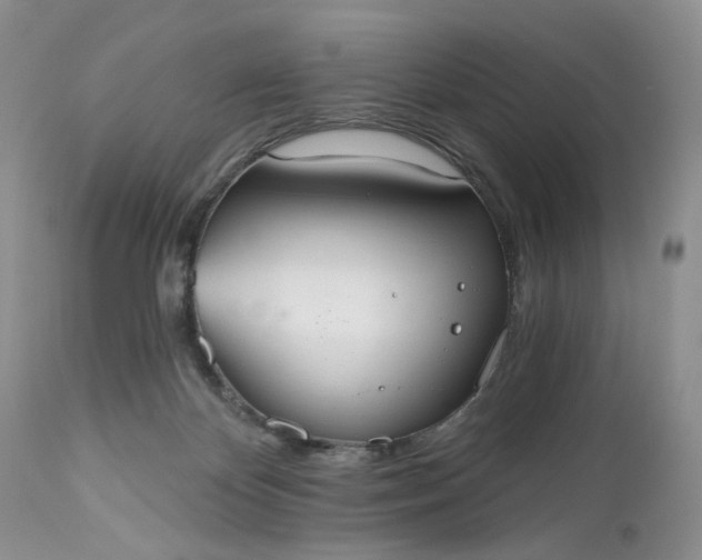 X0000112520124200908311407