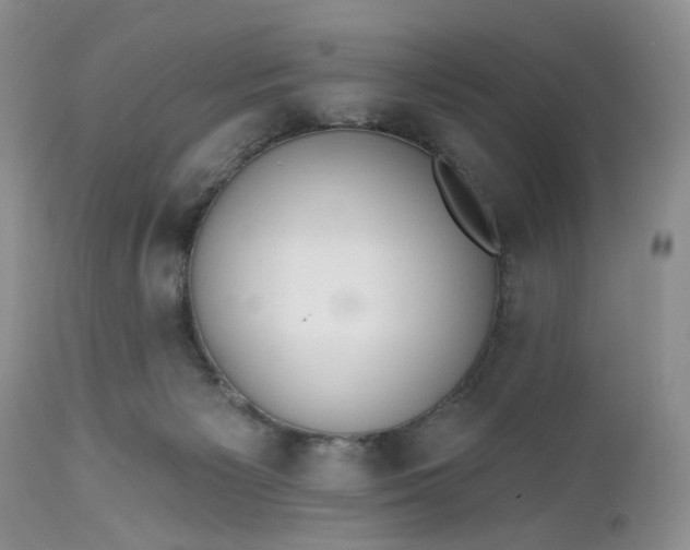 X0000112520125200908311407