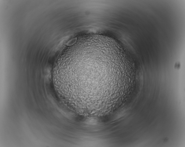 X0000112520127200908311407