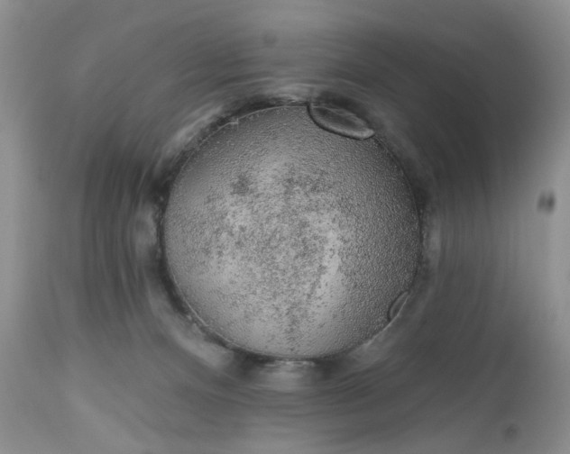X0000112520128200908311407