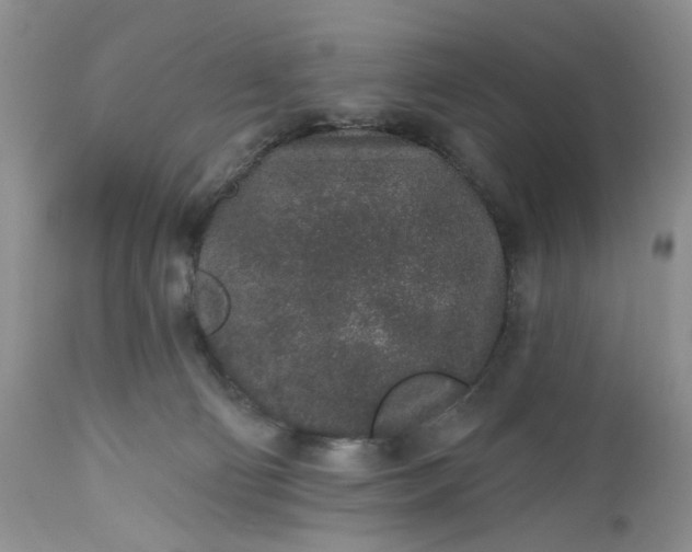 X0000112520130200908311407