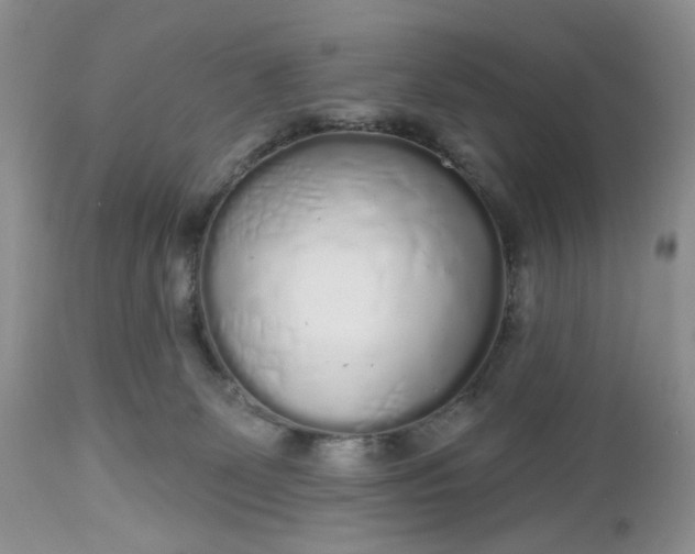 X0000112520131200908311407