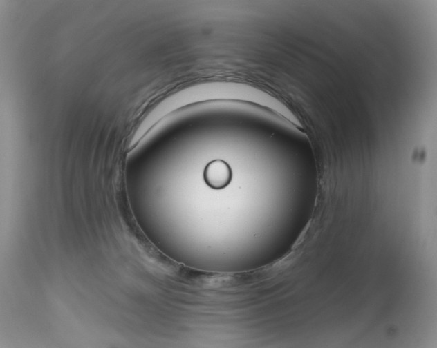X0000112520132200908311407