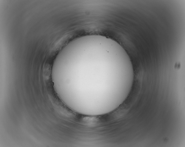X0000112520133200908311407