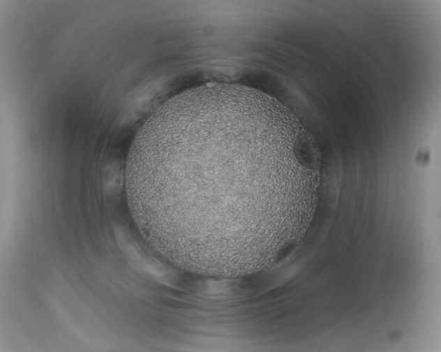 X0000112520134200908311407