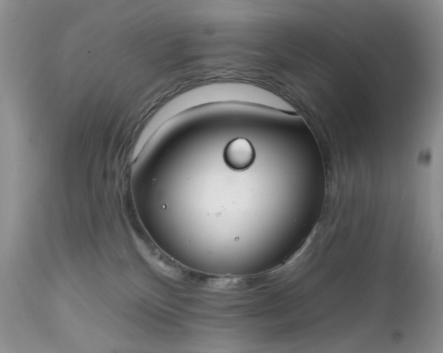 X0000112520136200908311407