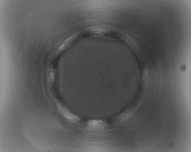 X0000112520137200908311407