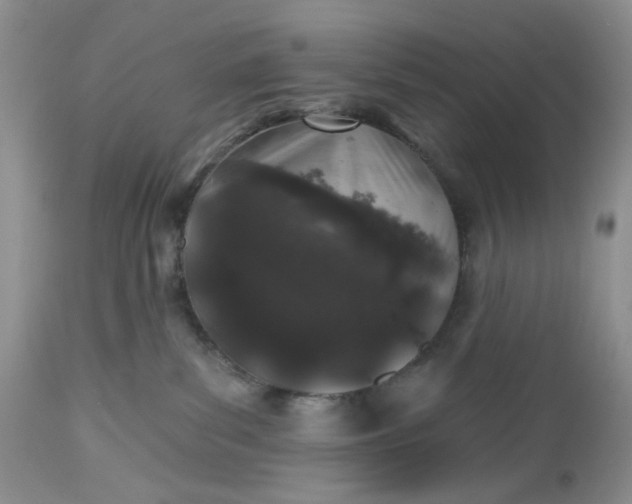 X0000112520139200908311407