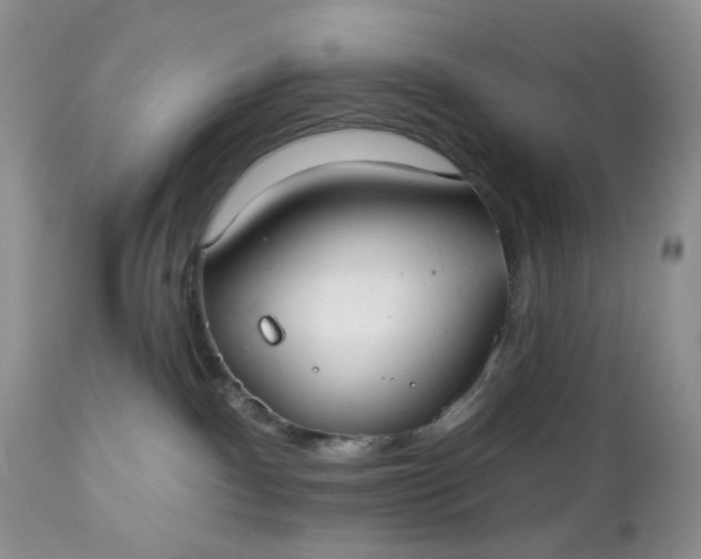 X0000112520140200908311407