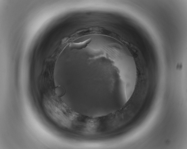 X0000112520143200908311407