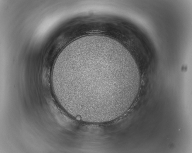 X0000112520146200908311406