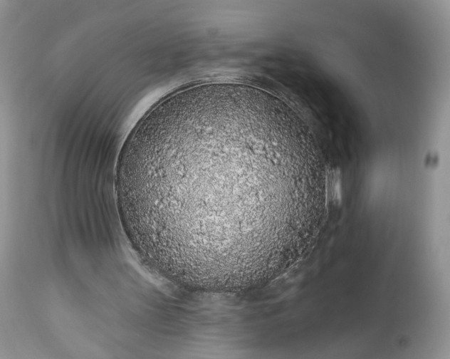 X0000112520147200908311406