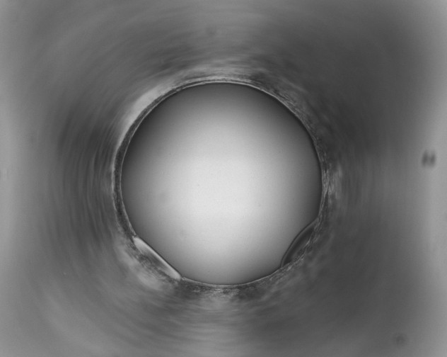 X0000112520148200908311406