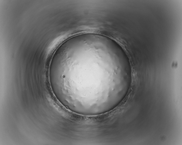 X0000112520149200908311406