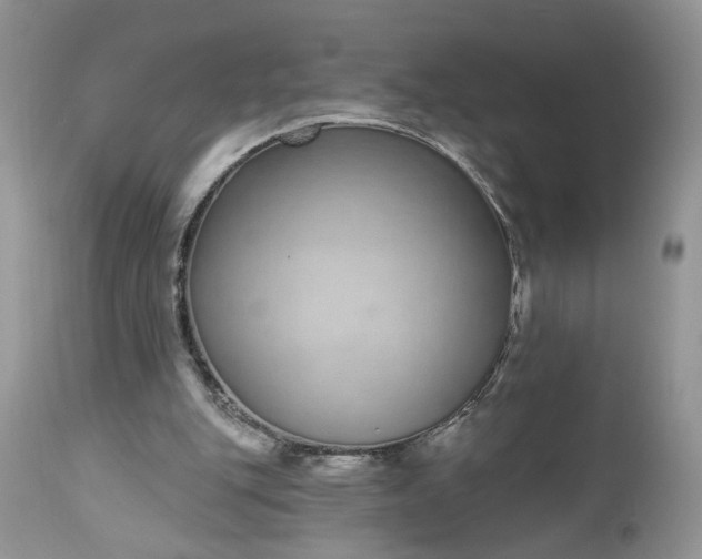 X0000112520151200908311406