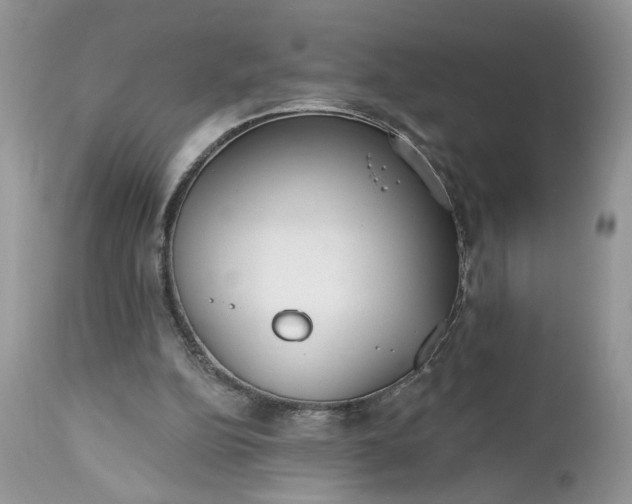 X0000112520152200908311406