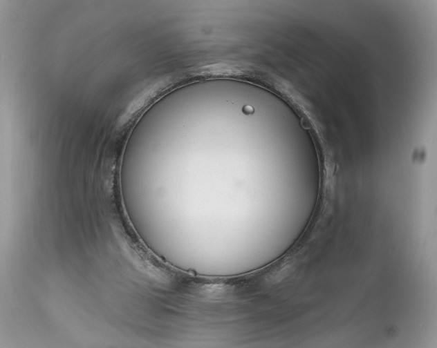 X0000112520153200908311406