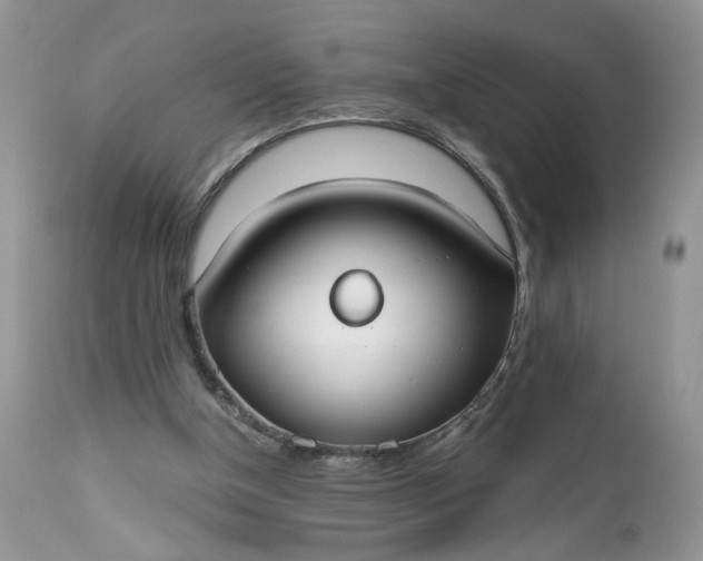 X0000112520154200908311406