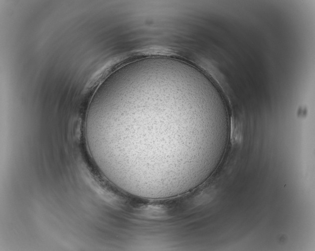 X0000112520157200908311406