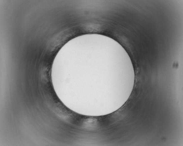 X0000112520162200908311406