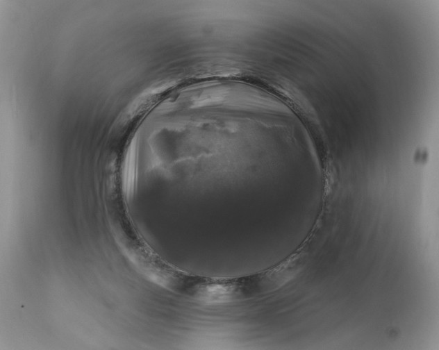 X0000112520163200908311406