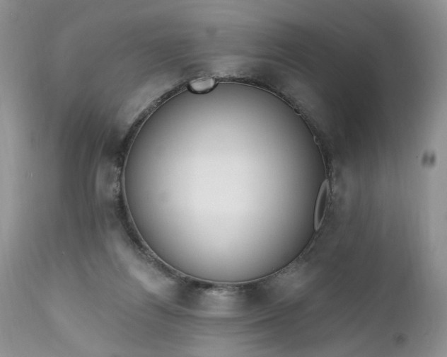 X0000112520164200908311406