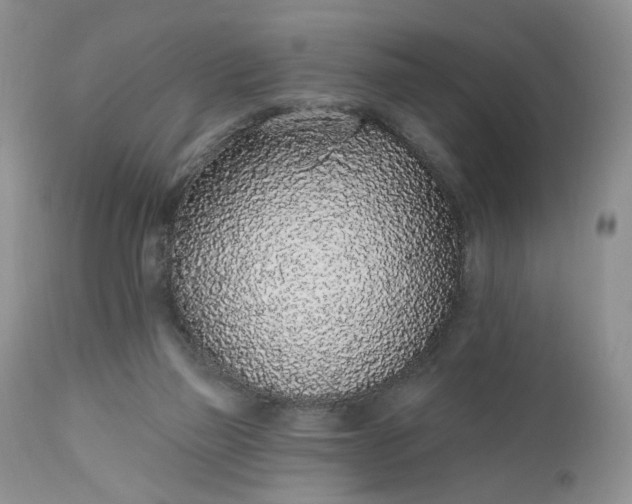 X0000112520165200908311406