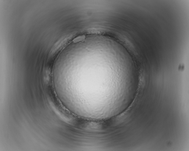 X0000112520166200908311406