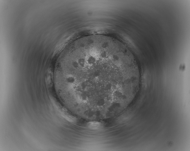 X0000112520169200908311406