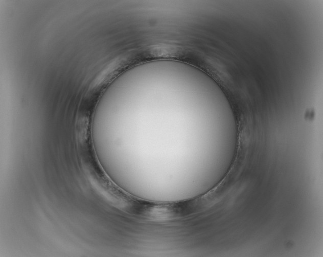 X0000112520171200908311406