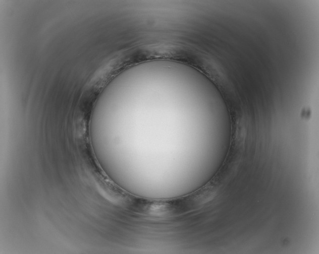 X0000112520173200908311406