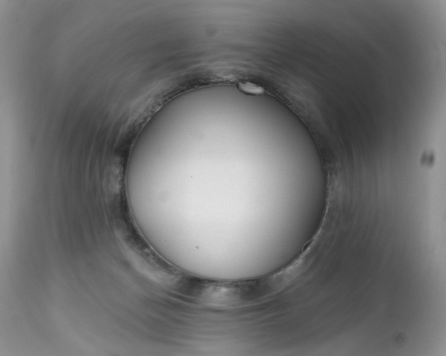 X0000112520174200908311406