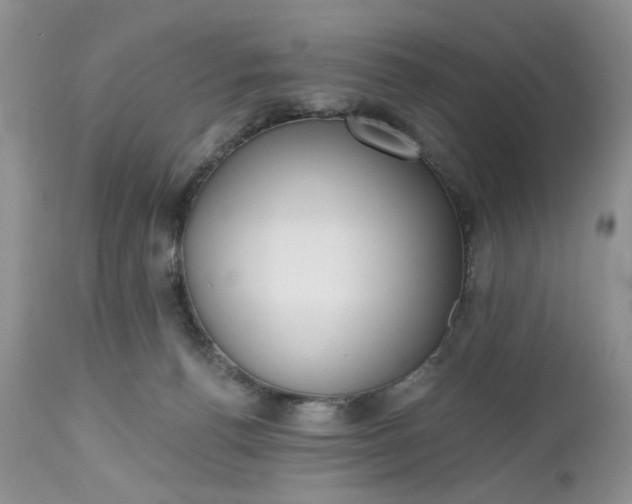 X0000112520176200908311406