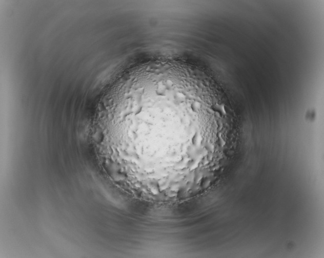 X0000112520177200908311406
