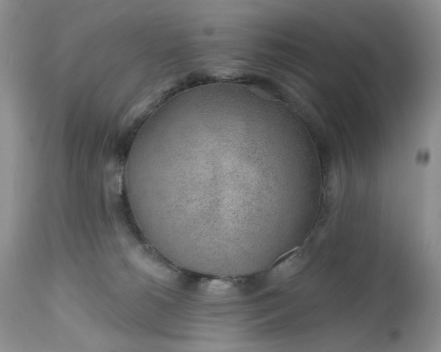 X0000112520180200908311406