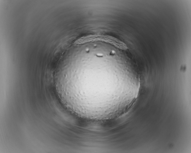 X0000112520182200908311406
