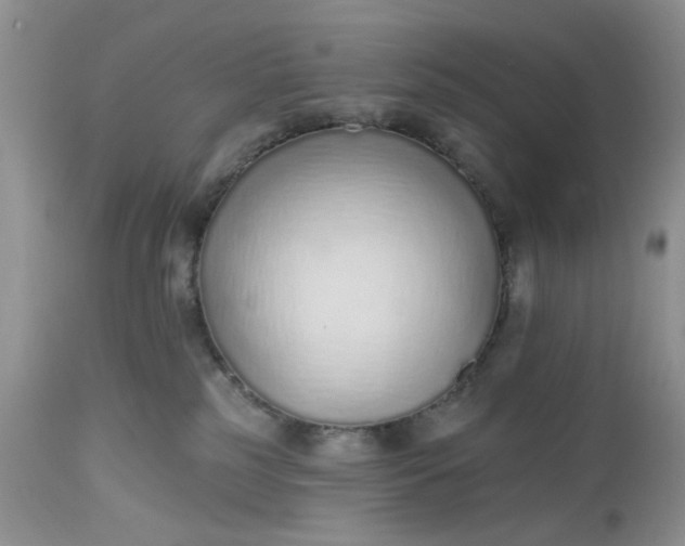 X0000112520185200908311407