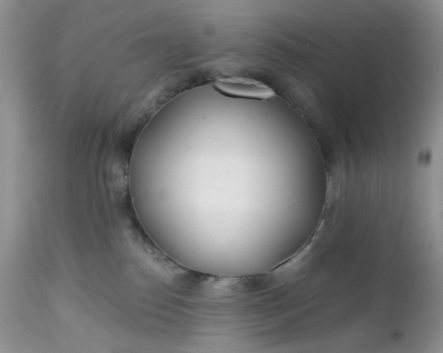 X0000112520186200908311407