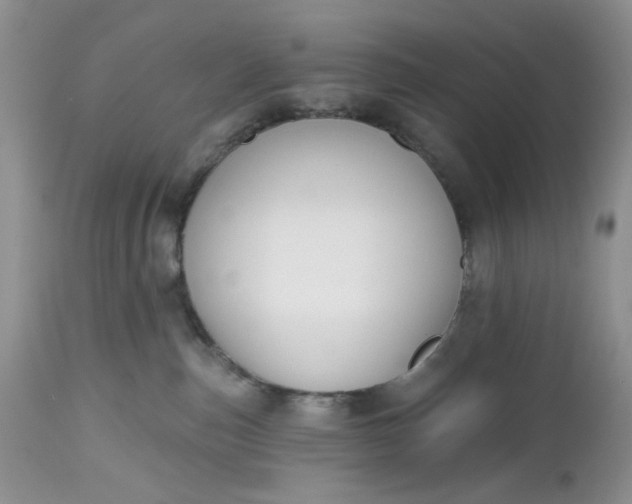 X0000112520187200908311407