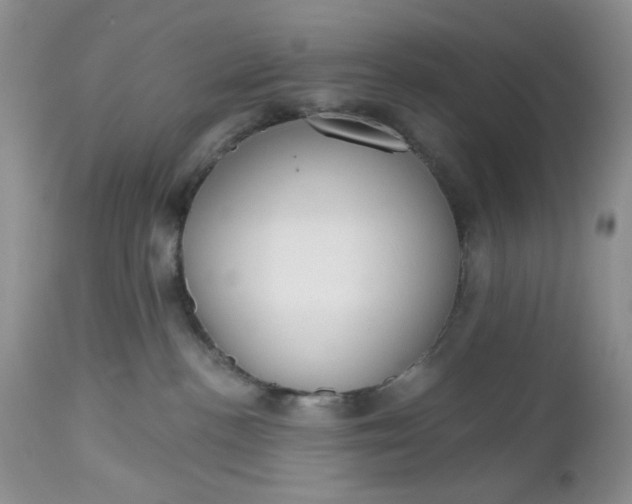 X0000112520188200908311407